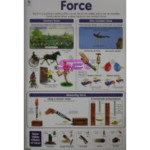 Force Chart